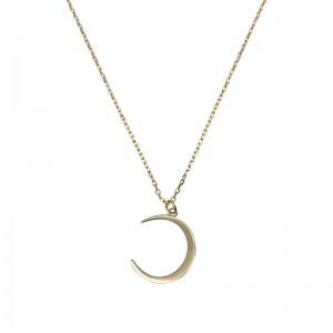 Crescent tooth necklace